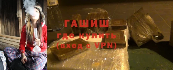 хмурый Алексин