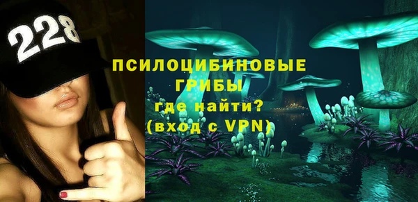 хмурый Алексин