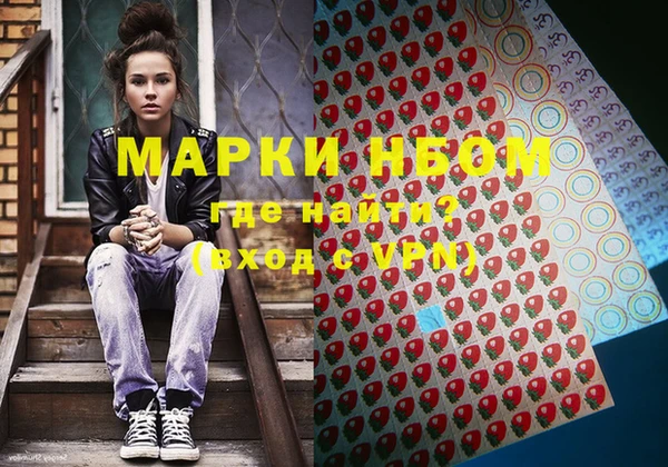 хмурый Алексин
